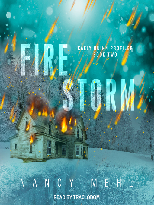 Title details for Fire Storm by Nancy Mehl - Available